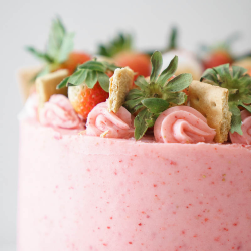 S'mores Strawberry Cake