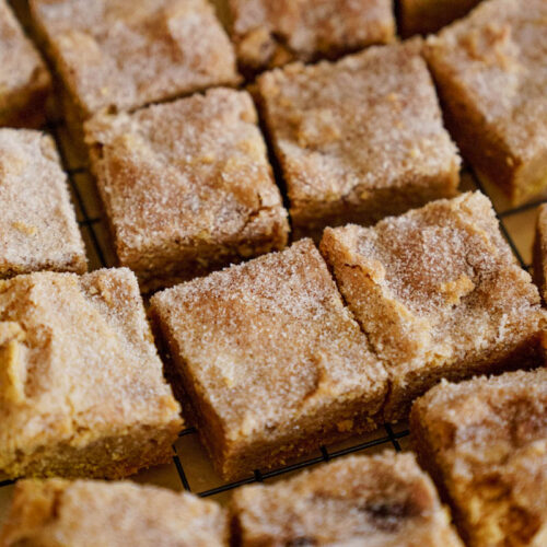 Pumpkin Snickerdoodle Blondies